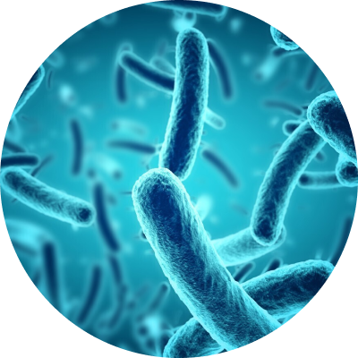 Vượt qua thử thách