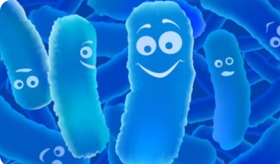 Health digestion - key to help your body away disease