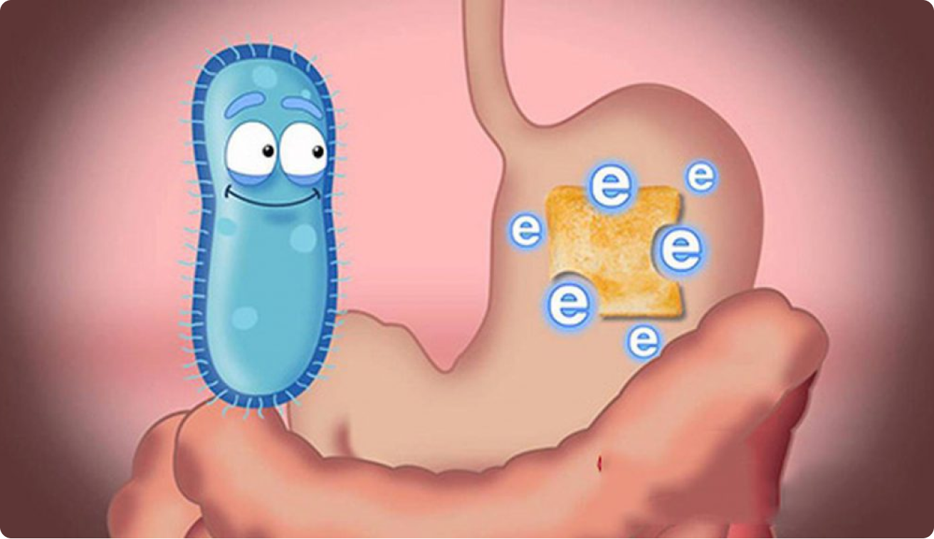 Unexpected benefits from probiotic