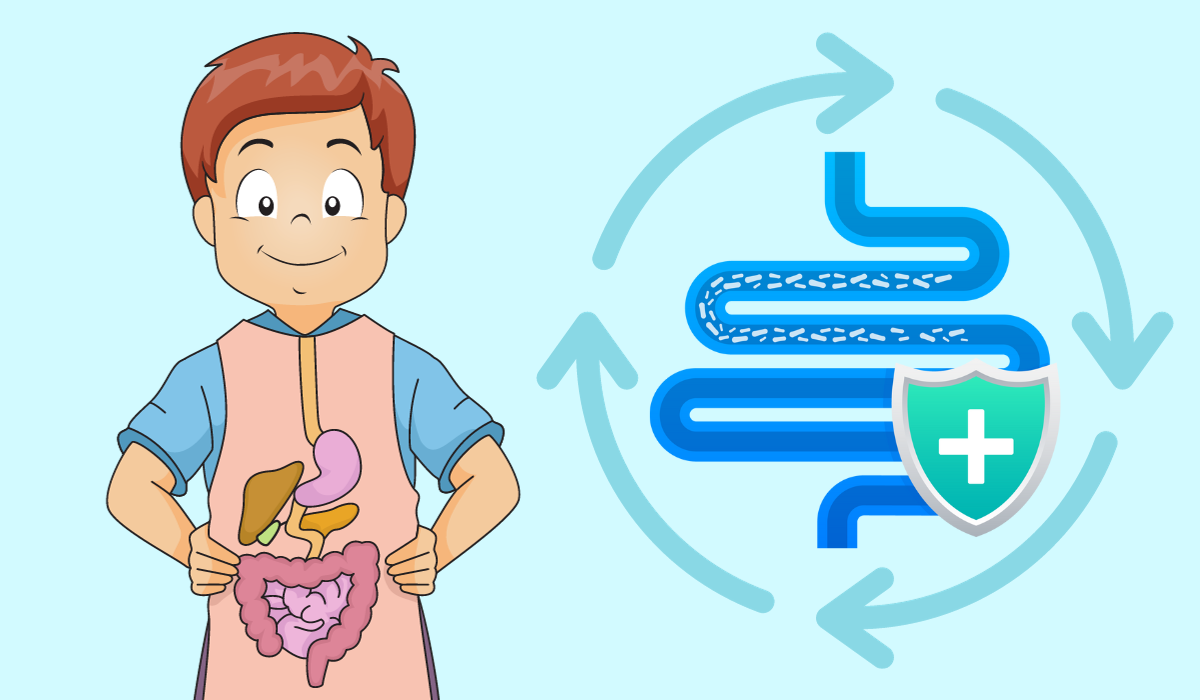 Quá trình tiêu hóa diễn ra như thế nào?